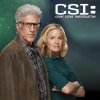‘CSI’ Season 15 Episode 5 Spoiler: What Is The Team Up To Now?