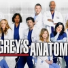 Grey's Anatomy Season 11