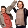 dumb and dumber to