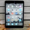 iOS 8.1 Problems and Issues On iPads