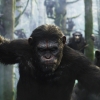 A still from the "Dawn of the Planet of the Apes" trailer