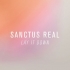 Sanctus Real Releases New Single 