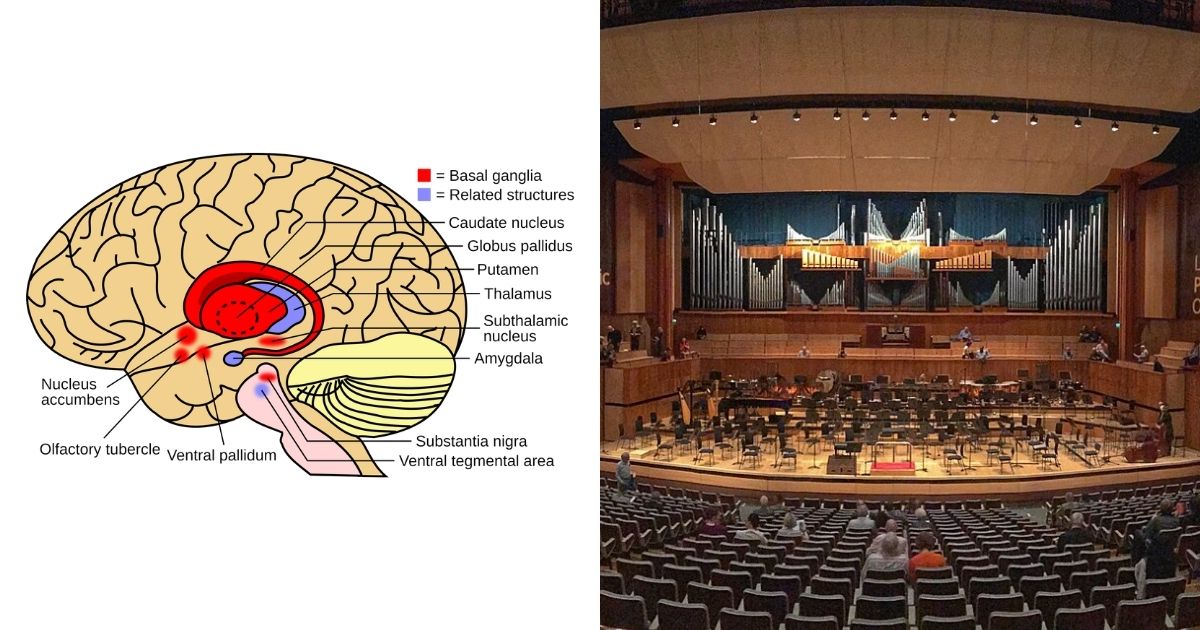 Photo Credit: wikipedia