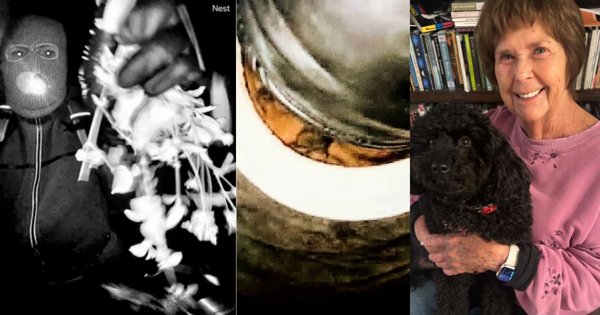 Nancy Guthrie Suspect Tattoo May Provide Key Clue as Investigation Continues