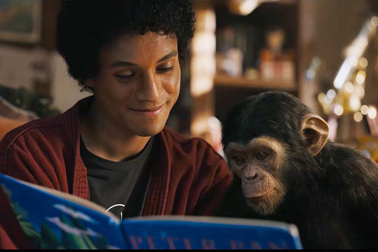 Jaafar Jackson Honors Michael Jackson’s Legacy with Emotional Visit to Bubbles the Chimp