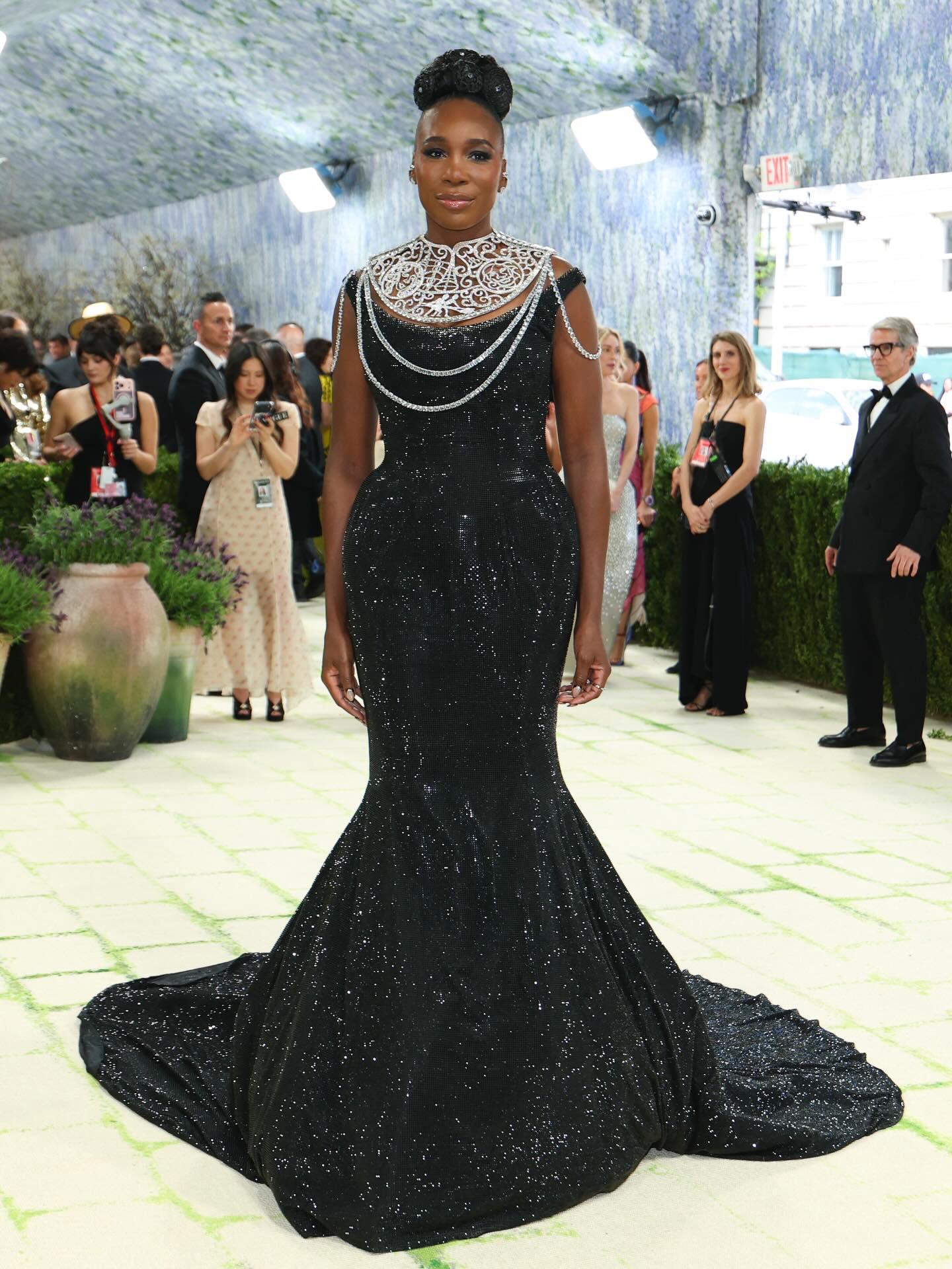 Photo Credit: Venus Williams/Facebook