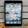 iPad Mini 3 