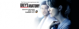 Grey's Anatomy Season 11 Spoilers Meredith and Derek