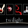 Twilight Saga Short Film
